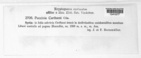 Image Associated With the Occurrence